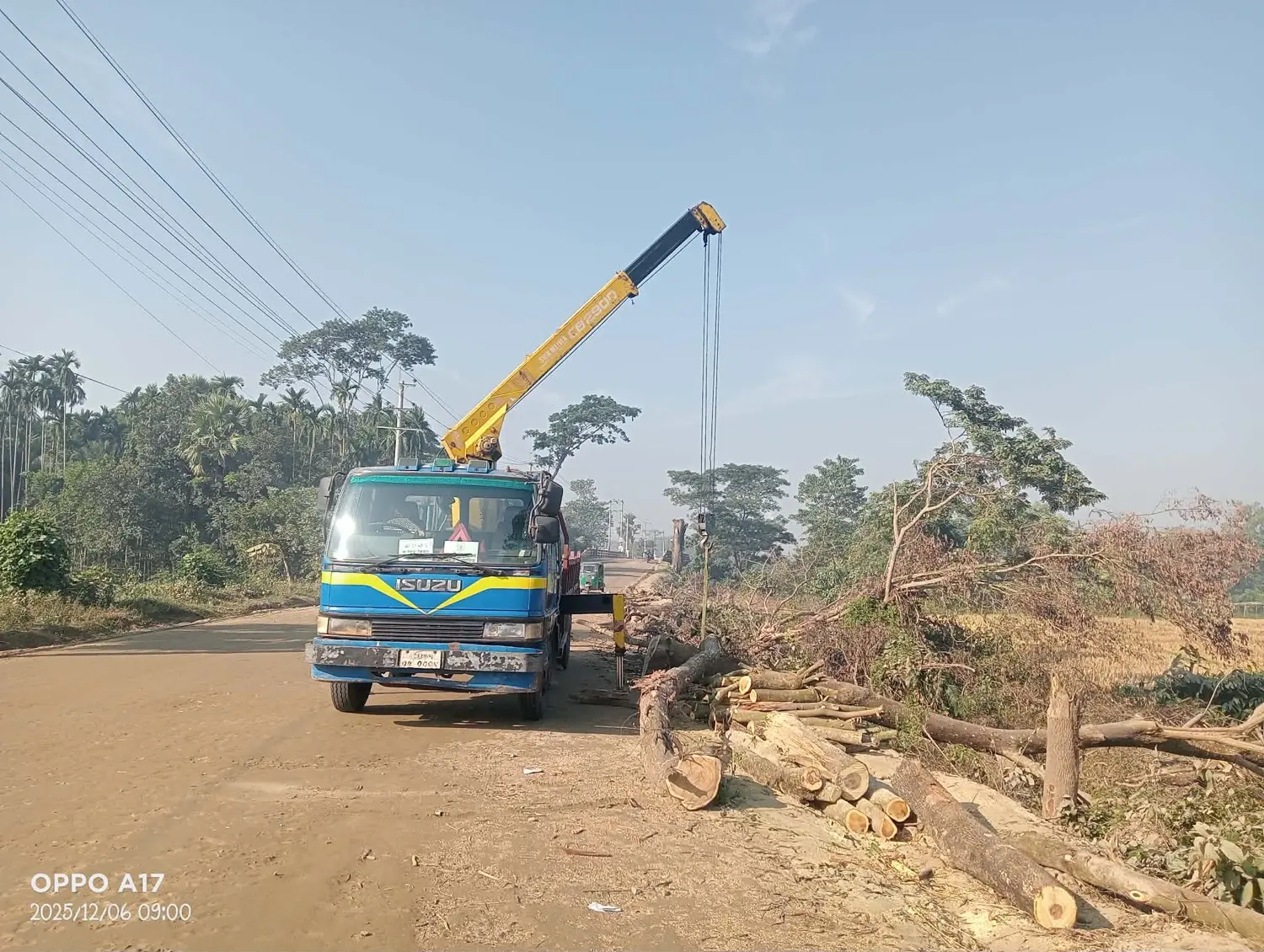 কাঠ ও লগ লোডিং — ক্রেন সার্ভিস